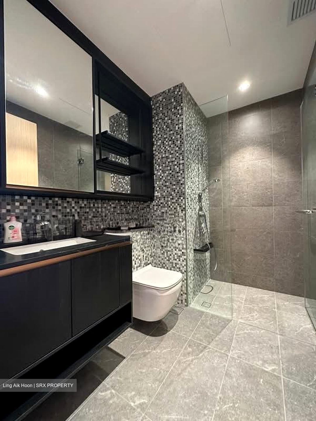 The Antares (D14), Apartment #577233681